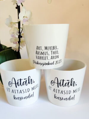 lillepott, kingitus, õpetajale, lõpukink, lasteaialõpetamine, lõpupidu, aitäh et aitasid kasvada, nimeline kingitus, personaliseeritud, kingi idee, laste nimedega