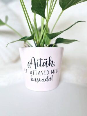 roosa lillepott õpetajale tekstiga aitäh, et aitasid meil mul kasvada