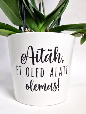 kingitus emale emadepäevaks tänutäheks aitäh, et oled olemas