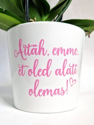 emale kingitus emadepäevaks lillepott