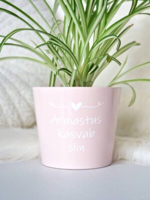 roosa lillepott oma tekstiga sõbrapäevaks kingituseks sünnipäevaks